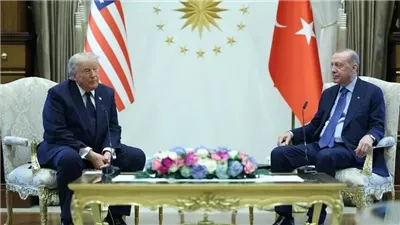 أردوغان بعد لقائه ترامب: أثق بالتوصل إلى نتائج إيجابية بين واشنطن وأنقرة