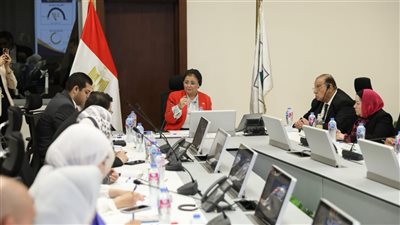 نائب وزير الصحة تطلق المنصة الإلكترونية للخطة التنفيذية الثانية للسكان والتنمية