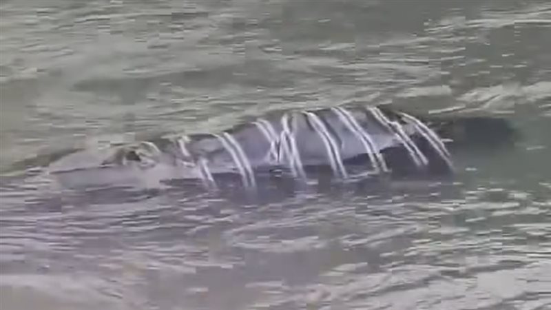 العثور على جثة ببحر
