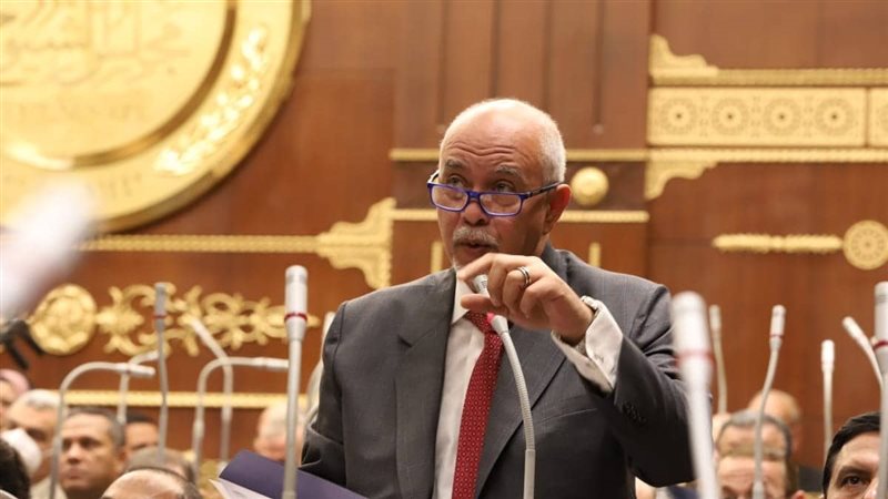 النائب حازم الجندي