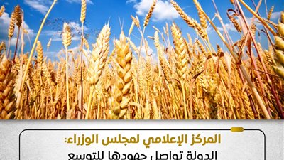 الحكومة تنفي تراجع زراعة المحاصيل الاستراتيجية وتؤكد استمرار التوسع لتحقيق الأمن الغذائي