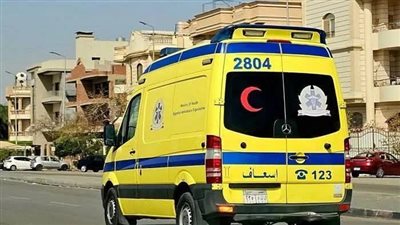 الفيزياء والتاريخ يشهدان حالتي إغماء بالقليوبية ونقلهما للمستشفى 
