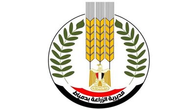 دمياط تنهي موسم توريد القمح بإجمالي 37 ألف طن من المحصول المحلي