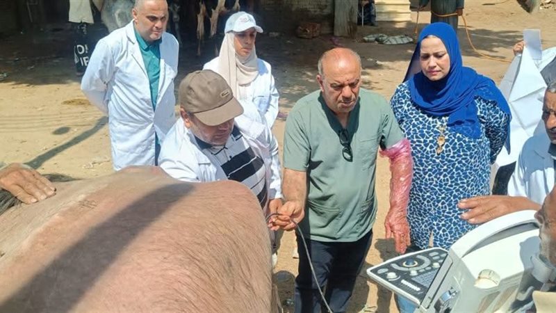 جانب من فعاليات القافلة