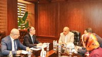الكهرباء: دراسة الشبكة والاعتماد على الطاقات المتجددة وبطاريات تخزين الطاقة لخفض استخدام الوقود الأحفوري 