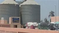 استلام 352 ألف طن من الأقماح بصوامع ببنى سويف 
