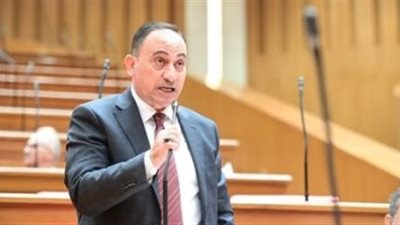 برلماني: استقبال الرئيس لأبطال المنتخب رسالة دعم قوية