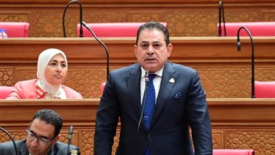 برلماني: تكريم الرئيس السيسي للمنتخب رسالة دعم للرياضة وتحفيز لمواصلة الإنجازات