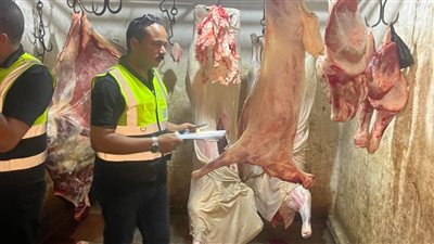 استجابةً لشكاوى المواطنين.. هيئة سلامة الغذاء تضبط طن لحوم وذبائح مخالفة بالدقهلية