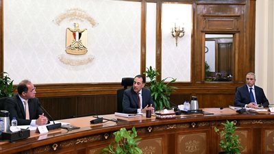 رئيس الوزراء يتابع مستجدات الموقف التنفيذي لمشروعات الطاقة الجديدة والمتجددة