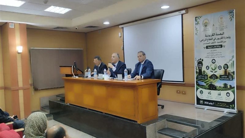 جانب من الورشة التدريبية