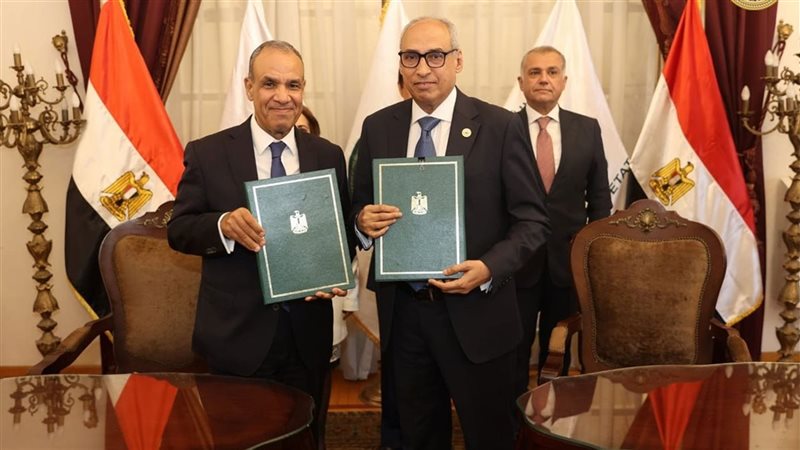 مجلس الدولة 