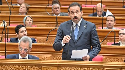رئيس جهاز مستقبل مصر: مشروع القانون يقوم على ترسيخ مبادئ الحوكمة داخل مؤسسات الدولة