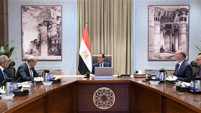  مدبولي يتابع مشروع أول وقود طيران أخضر في مصر.. وتأكيد على توفير احتياجات المطارات من الوقود