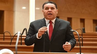 النائب عماد الغنيمي: مشروع قانون جهاز مستقبل مصر يحظى بتوافق بين الأغلبية والمعارضة