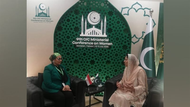 المستشارة أمل عمار