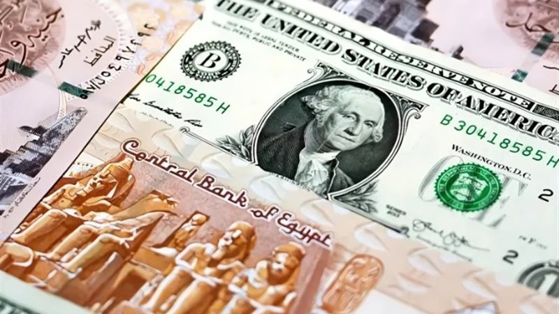 أرشيفية 