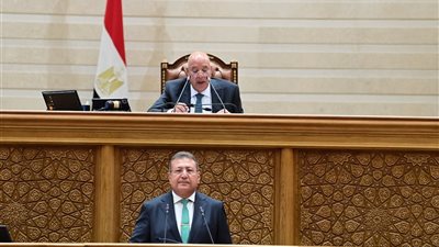 البرلمان يوافق على تقرير اللجنة الاقتصادية بشأن اكتتاب مصر في الزيادة 19 لرأسمال هيئة التنمية الدولية