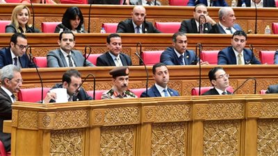 نائب يقترح تغيير اسم الصندوق التابع للجهاز إلى
