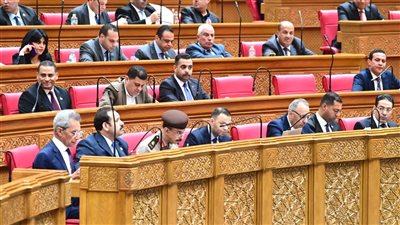 البرلمان يوافق على آليات تخصيص العقارات اللازمة لإقامة المشروعات التابعة لجهاز مستقبل مصر
