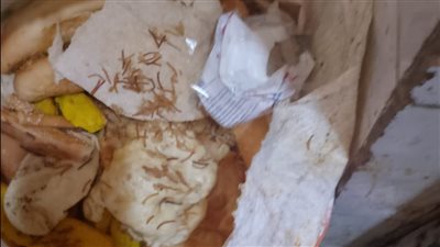 بالصور.. ضبط مخبز فينو يعج بالحشرات ويستخدم تمورًا مجهولة المصدر بحملة تموينية في بورسعيد