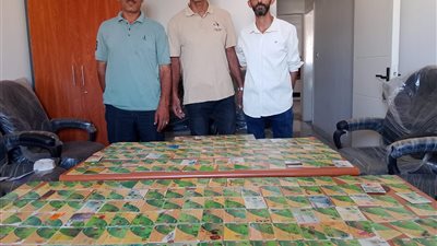 ضبط 492 بطاقة تموينية و2.5 طن دقيق مدعم و1000 رغيف وتحرير 116 محضرًا  بالغربية