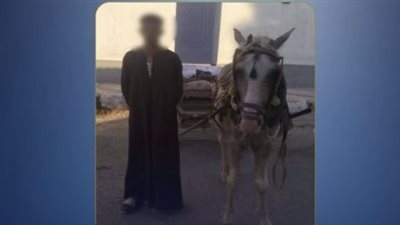 ضبط جامع خردة ترك عربة كارو تعطل المرور أمام مستشفى بشمال سيناء