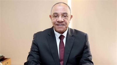 برلماني: زيارة الرئيس السيسي لتنزانيا تعكس انتقال العلاقات المصرية الإفريقية إلى مرحلة الشراكة الاقتصادية الشاملة