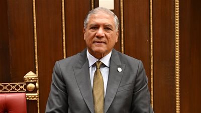  عفت السادات: زيارة السيسي لتنزانيا ترسم مرحلة جديدة للشراكة المصرية الأفريقية