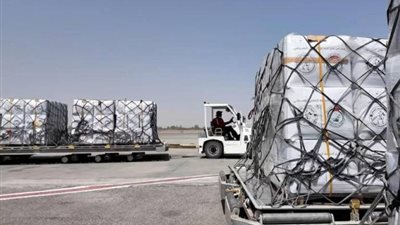 مطار العريش يستقبل طائرة مساعدات إماراتية لصالح الفلسطينيين بقطاع غزة