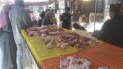 ضبط محل يحقن الدواجن لزيادة الوزن.. والتحفظ على 200 كيلو قبل بيعه بشبرا الخيمة