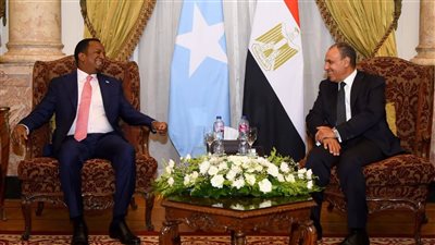 وزير الخارجية ونظيره الصومالي يبحثان سبل تعزيز العلاقات الثنائية وتطورات الأوضاع في منطقة القرن الأفريقي 