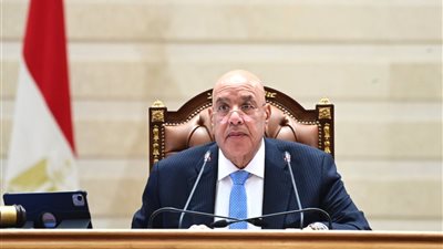 النواب يناقش إنشاء جامعة كيان بالقوات المسلحة واتفاقيات جديدة للبحث عن البترول والغاز