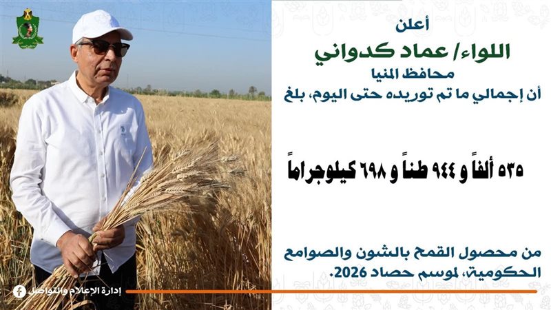 توريد القمح بالمنيا