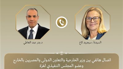 عبد العاطي وعضوة المجلس التنفيذي لغزة يبحثان تطورات الأوضاع وجهود التهدئة