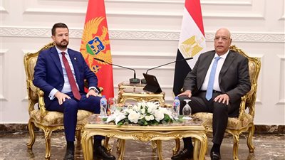 رئيس مجلس النواب يلتقي رئيس جمهورية الجبل الأسود