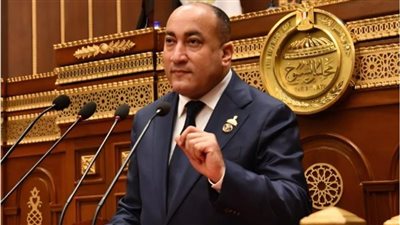 برلماني: ثورة 23 يوليو ستظل علامة فارقة في تاريخ الوطن