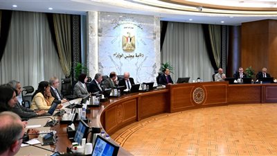 رئيس الوزراء يستعرض مقترحًا لضمان تمويل مشروعات البنية التحتية