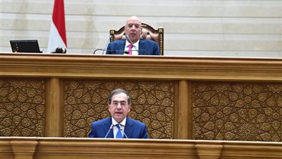 مناقشات موسعة في النواب حول اتفاقيات للبحث عن البترول والغاز