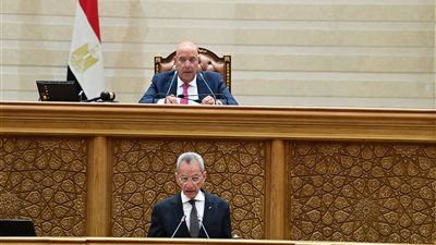 وزير الشؤون النيابية: الحكومة تثمن أداء مجلس النواب وتؤكد استمرار التعاون لتحقيق مصالح المواطنين