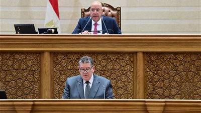 وكيل دفاع النواب: مشروع قانون إنشاء جامعة 