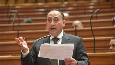 برلماني: كلمة الرئيس السيسي في ذكرى 23 يوليو رسمت ملامح الجمهورية الجديدة 