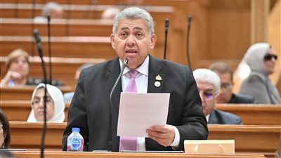 رئيس لجنة التعليم بالنواب: جامعة كيان تمثل إضافة قوية لمنظومة التعليم العالي