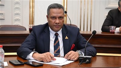 برلماني: كلمة الرئيس جددت التأكيد على الثوابت القائمة على حماية الأمن القومي