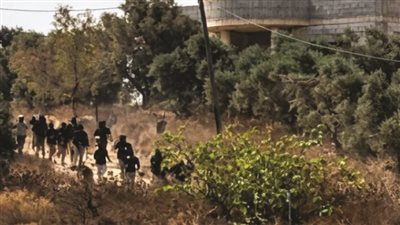 مستوطنون يهاجمون مناطق بين قريتي جيت وتل شرق قلقيلية بالضفة المحتلة