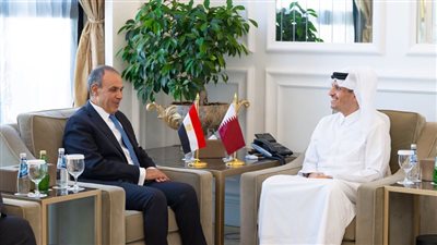 وزير الخارجية يلتقي نظيره القطري في الدوحة