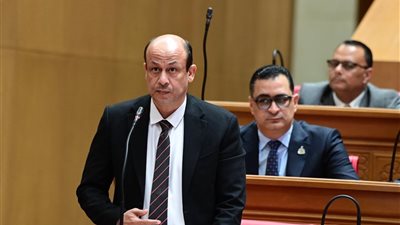 سؤال برلماني للحكومة للمطالبة بخطة عاجلة لوقف تكرار حوادث الغرق