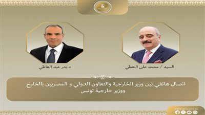 وزيرا الخارجية المصري والتونسي يبحثان العلاقات الثنائية والتطورات الإقليمية 