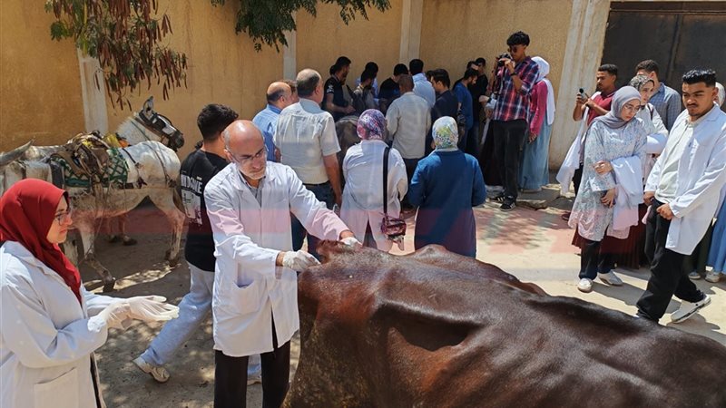 القافلة البيطرية