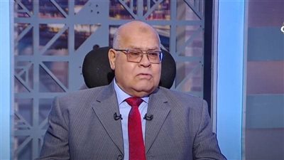   الشهابي: مقاطع هايدي زيدان تكشف أزمة «الأمية السياسية» على السوشيال ميديا